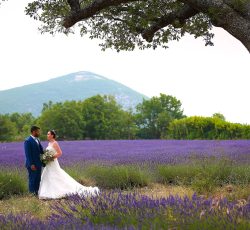 Mariage dans un champ de lavande près de Banon