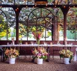 orangerie, décoration soleil couchant